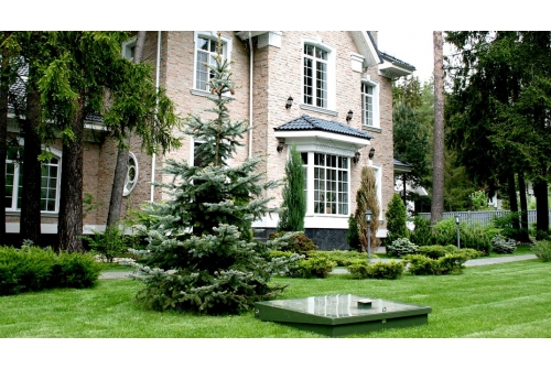 Септик Топас 12